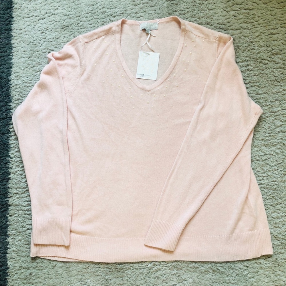 Pastel Light Pink Sweater Top